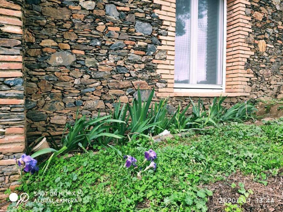 Olivae Villa Aracena Ngoại thất bức ảnh